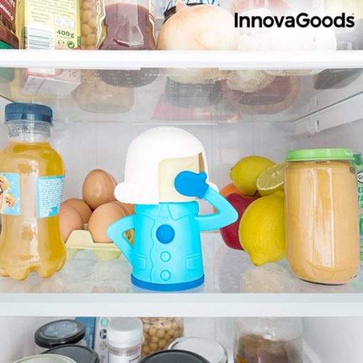 FRIDGE DEODORIZER
