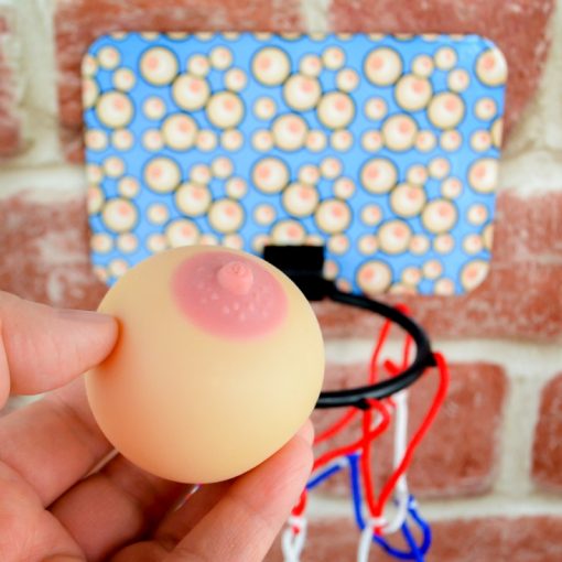 Boobie Basketball - Image 2