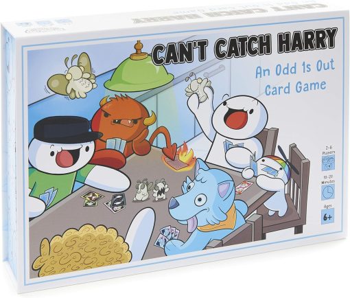 Can't catch harry game