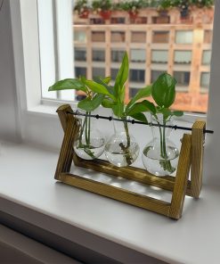 Alternative view of Propagation Vases