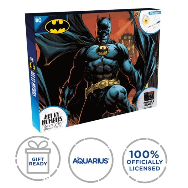Dc Comics Batman Art By Numbers : DIY Acrylic Wall Art Kit 41x51cm